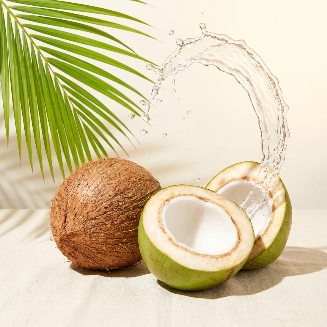 Fresh coconuts